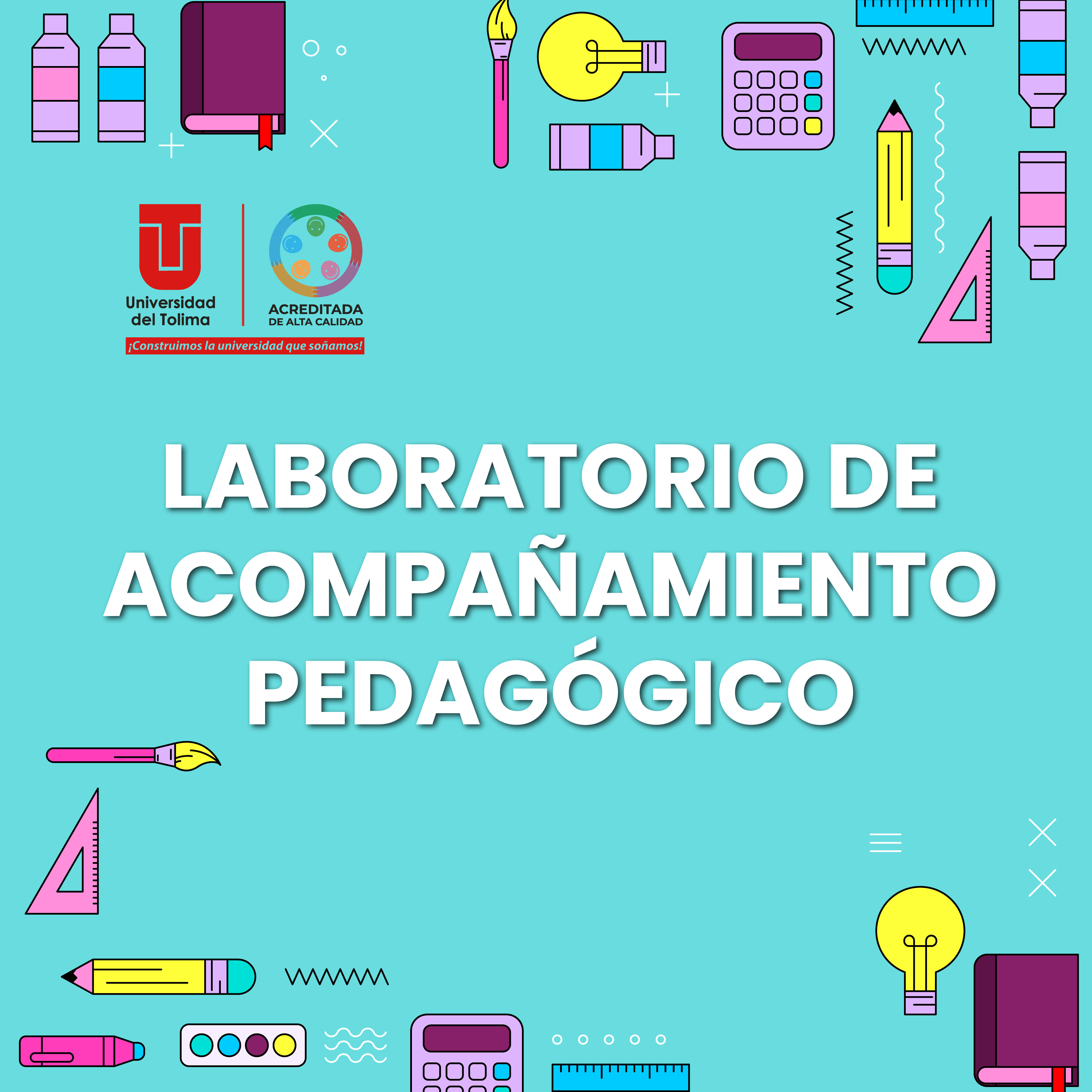 LABORATORIO DE ACOMPAÑAMIENTO PEDAGÓGICO