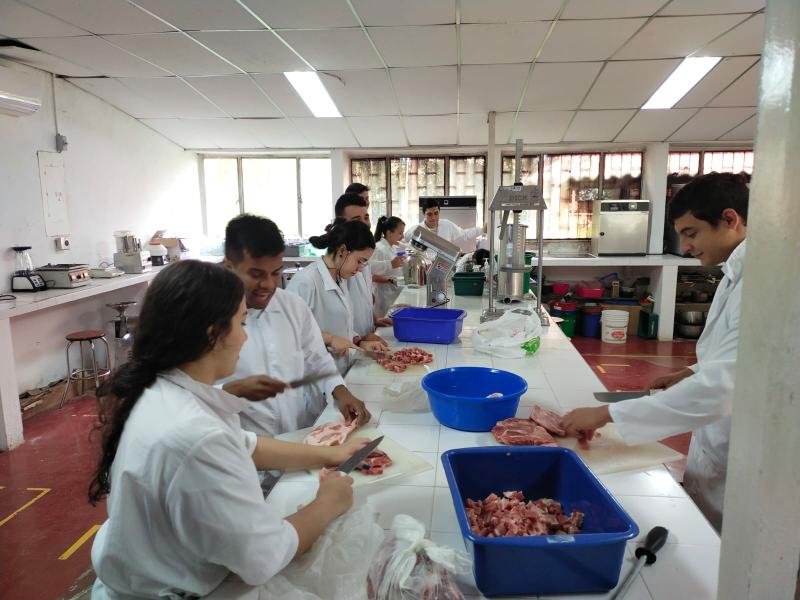 Desarrollo de Productos